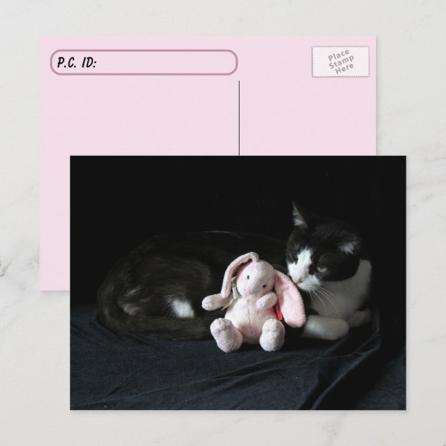 Cartão Postal Pôr Um Coelhinho Me Ama - Cartão-Postal De Gato (Frente/Verso)
