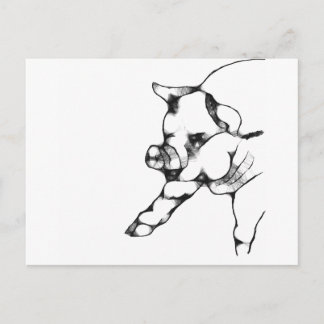 Cartão Postal porco