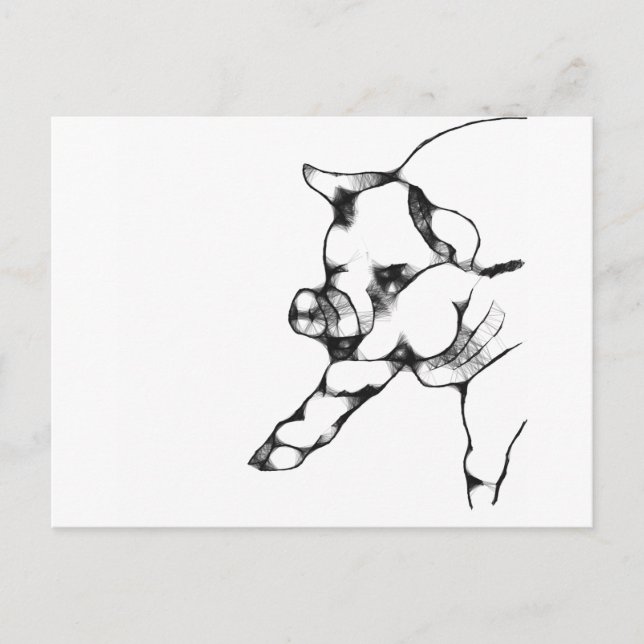 Cartão Postal porco (Frente)