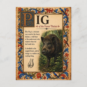 Cartão Postal Porco, Arte do Bestiário Medieval