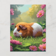 Porco-Guiné Entre Flores Rosa