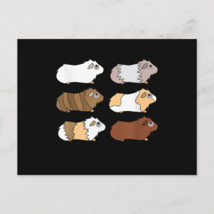 Cartão Postal Porco-guineal Love Guiné Pig Wheek Feed Me
