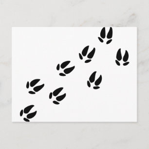 Cartão Postal Porco - Rastreios