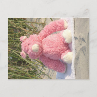 Cartão Postal Porco rosa na praia