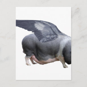 Cartão Postal porco voador