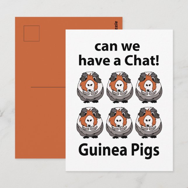 Cartão Postal Porcos-guineenses Podemos Ter Um Chat Engraçado Po (Frente/Verso)
