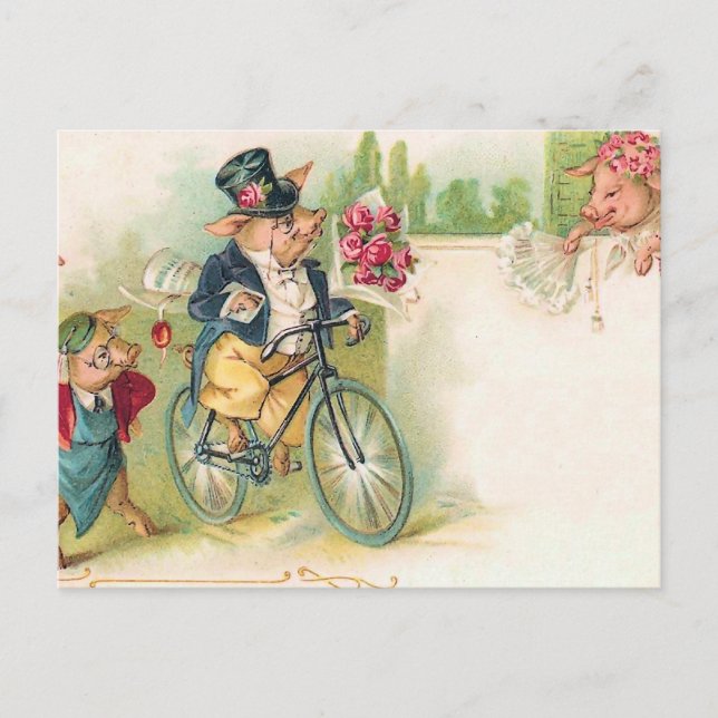 Cartão Postal Porcos Românticos (Frente)