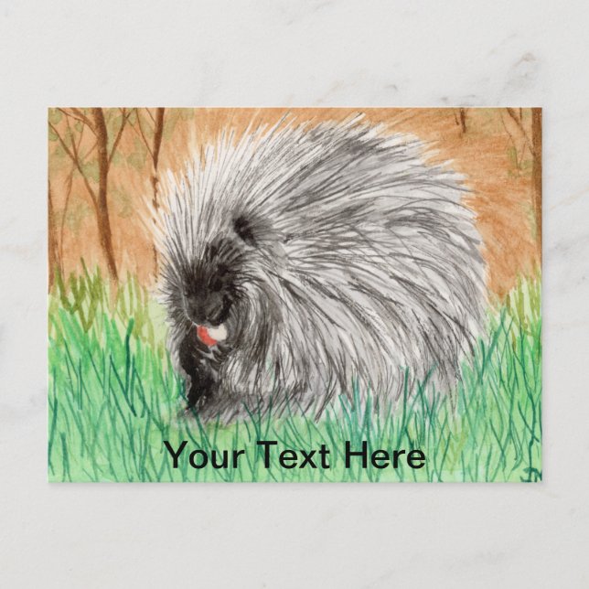 Cartão Postal Porcupine (Frente)