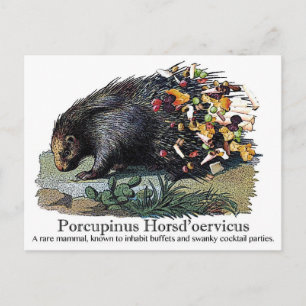 Cartão Postal Porcupinus Hoerd'oervicus