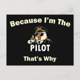 Cartão Postal  Porque Eu Sou O Piloto, É Por Isso  Custom Aviati