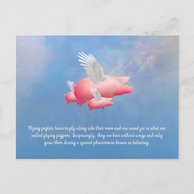 Cartão Postal Porquinhos Voadores (Frente)
