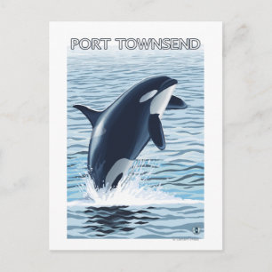 Cartão Postal Port Townsend, Washington Orca Jumping