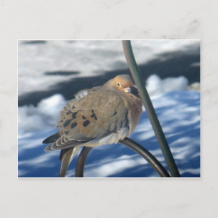 Cartão Postal Porta Fria 1