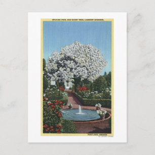 Cartão Postal Portland, Oregon - Piscina espanhola e Árvore fant