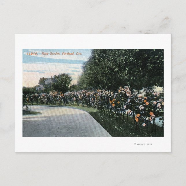 Cartão Postal Portland, OregonView de um Jardim Rosa (Frente)