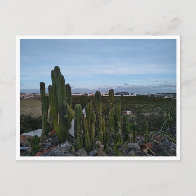 Cartão Postal Porto Salvo (Frente)