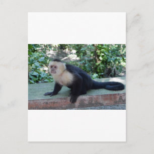 Cartão Postal Portrait.JPG