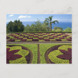 Cartão Postal Portugal, Ilha da Madeira, Funchal. Botânico