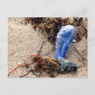 Cartão Postal Português de Guerra #1