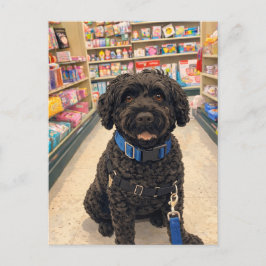 Cartão Postal Portuguese Water Dogs Kawaii Anime Postcard