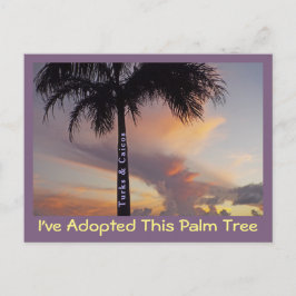 CARTÃO POSTAL PÓS-CARTÃO TURCOS E CAICOS/"EU ADOTEI PALM TREE
