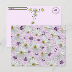 Cartão Postal Pós-travessia Belo Floral Rosa e Margarida Branca