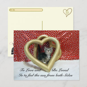 Cartão Postal Pós-Travessia de Amor Citação de Lilo Cat