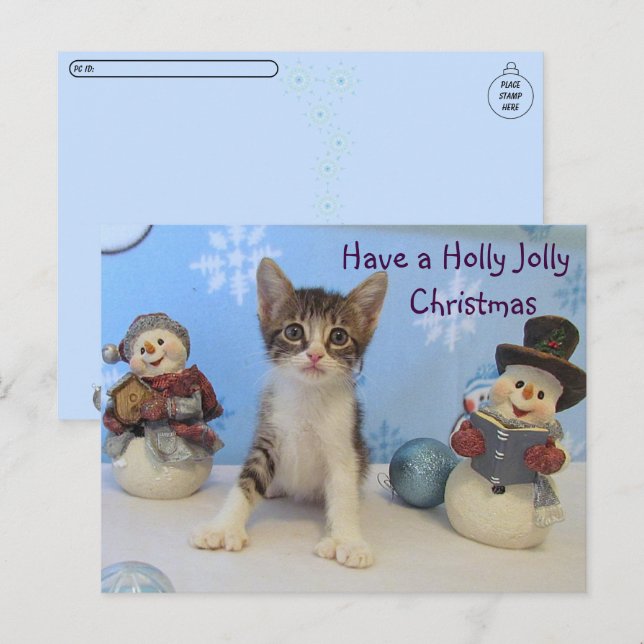 Cartão Postal Pós-travessia de Taromina Cat - Natal Holly Jolly (Frente/Verso)