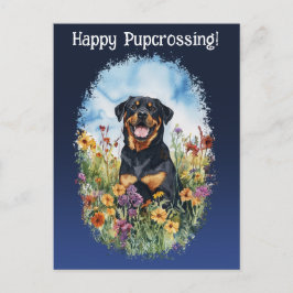 Cartão Postal Pós-travessia Rottweiler - Cartão-postal