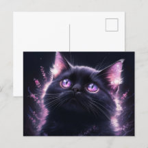 Poscards Chat Mauve 12