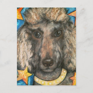 Cartão Postal Posh Poodle