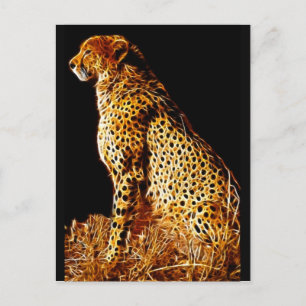 Cartão Postal Posição de Cheetahs