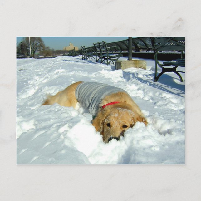 CARTÃO POSTAL POSSO FICAR AQUI? (Frente)