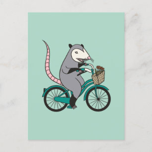 Cartão Postal Possum Andando uma Bicicleta