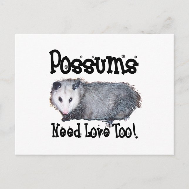 Cartão Postal Possum Precisa De Amor Também (Frente)