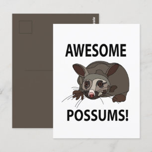 Cartão Postal Possums Incríveis Possums Divertidos