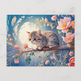 Cartão Postal Post card Cat Série 10 09