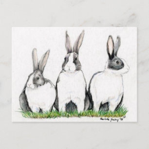 Cartão Postal Postacard de Arte Animal "Três Bunnies"