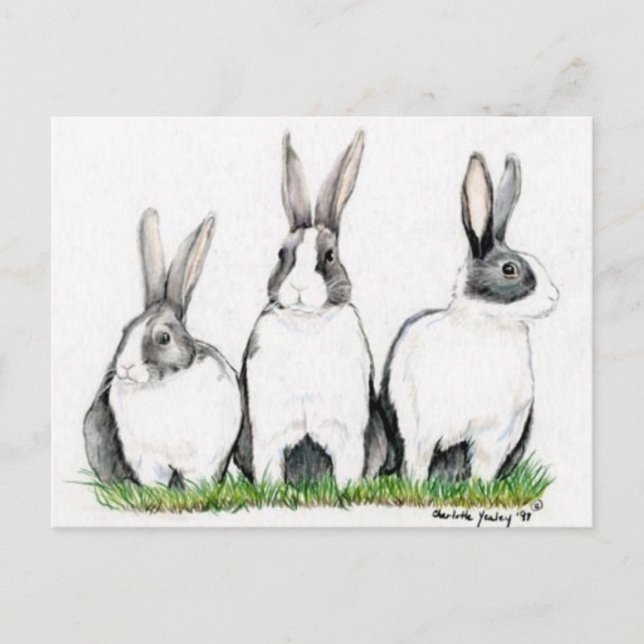 Cartão Postal Postacard de Arte Animal "Três Bunnies" (Frente)