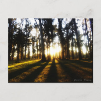 Cartão Postal Postais Uruguai