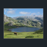 Cartão Postal postal Lagos de Covadonga en Asturias, Espanha<br><div class="desc">postal Lagos de Covadonga en Asturias,  Espanha</div>