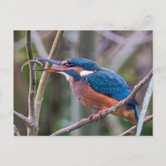 Cartão Postal Postcard