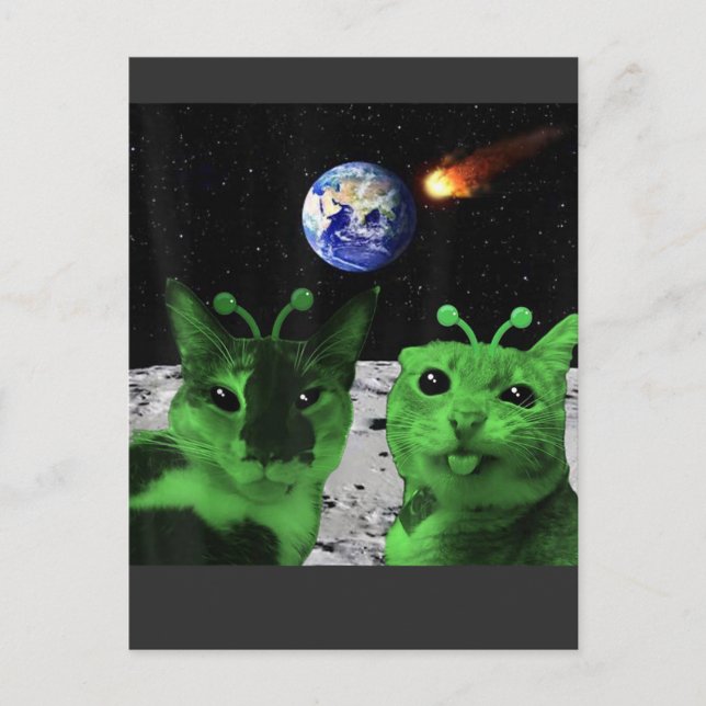 Cartão Postal Postcard (Frente)