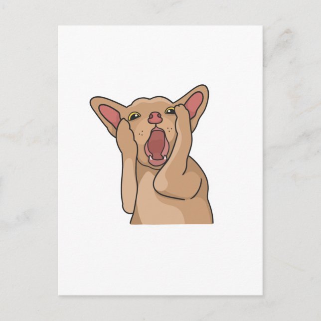 Cartão Postal Postcard (Frente)