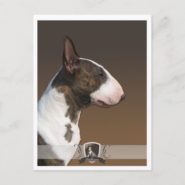 Cartão Postal PostCard Bullterrier 2011 (Frente)