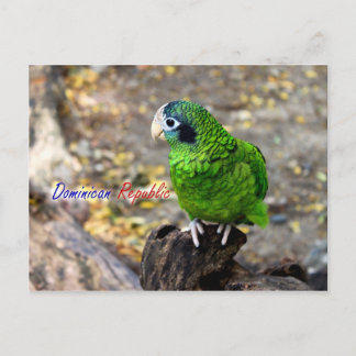 Cartão Postal PostCard da República Dominicana do Papagaio