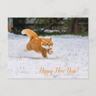 Cartão Postal PostCard de feliz ano novo do Ginger Ginger Cat