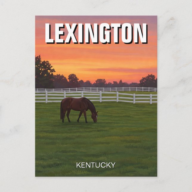 Cartão Postal Postcard Horse Sunset - Lexington Kentucky (Frente)