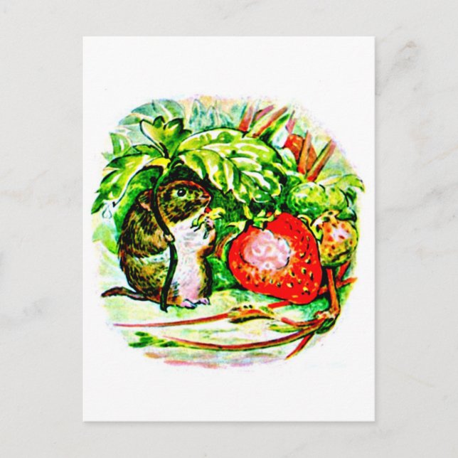 Cartão Postal Postcard-Kids Art-Beatrix Potter 13 (Frente)