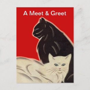 Cartão Postal Postcard Promo Rescue e saude Adoção Pet